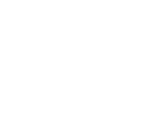 TWC Group Logo